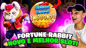 melhor horário para jogar rabbit